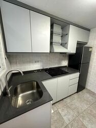 Novena Lodge (D11), Condominium #539186121